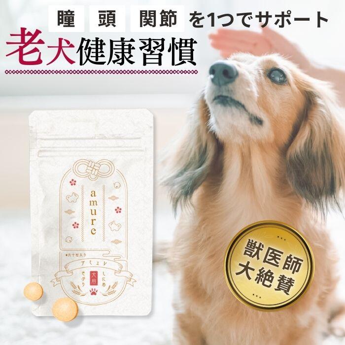 楽天市場】【エントリーでポイント10倍】 amure-アミュレ- 犬用
