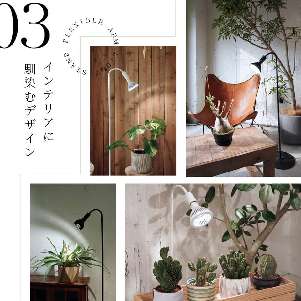 楽天市場】フレキシブルアーム ライトスタンド【口金E26】【ブラック