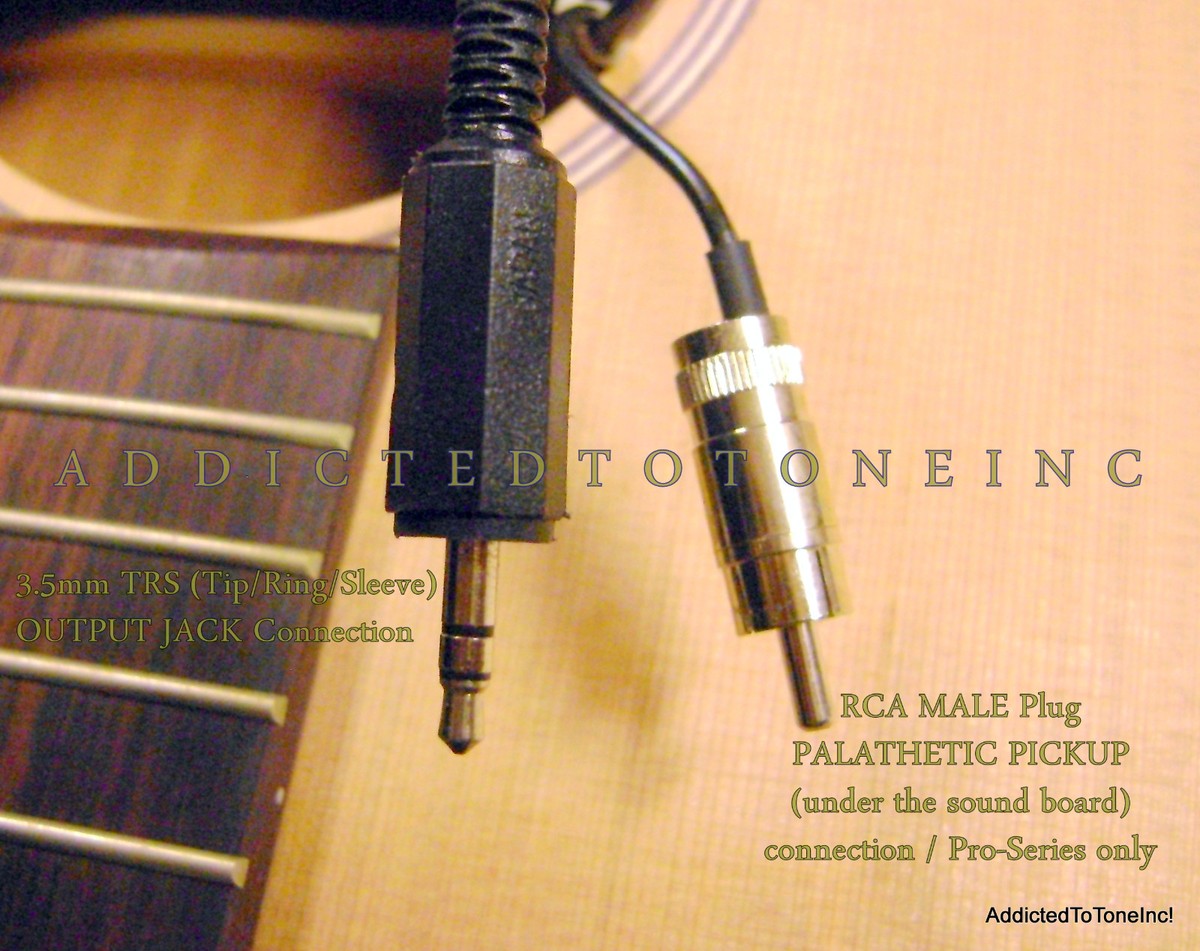 Takamine CTP 2 Cool Tube PreAmp NOS with How To Use Tutorial