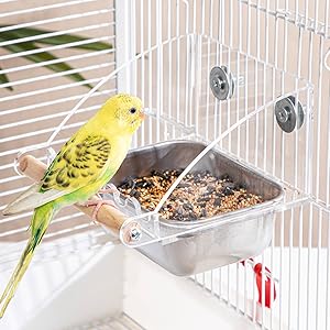 Amazon | IYOIYA 鳥 餌入れ 飛び散らない えさ皿 バードフィーダー
