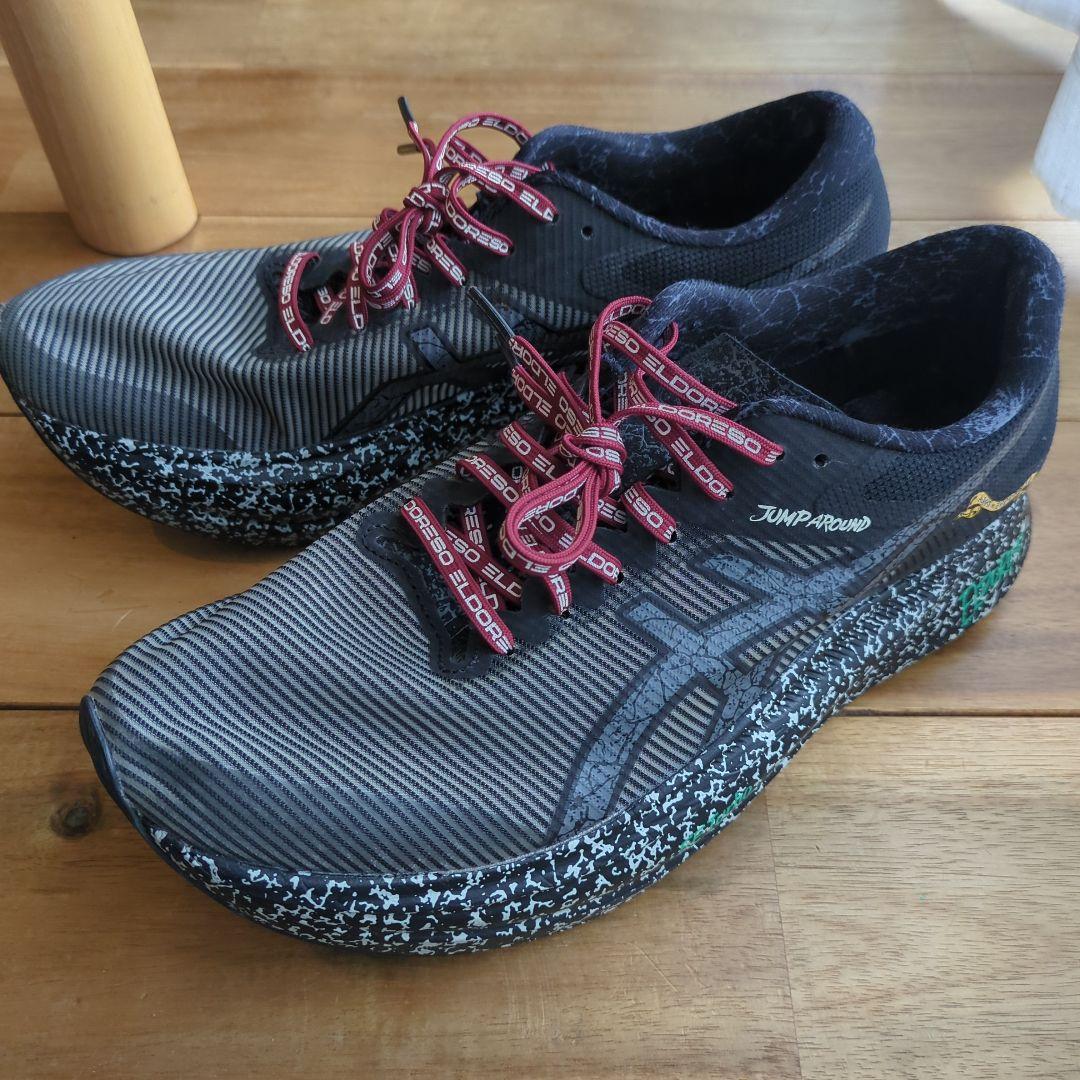 ASICS x ELDORESSO S4 26.0 エルドレッソ Runners Pulse